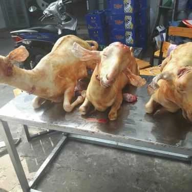 Tổng hợp- Quán Nhậu Quán Dê Hải Ký