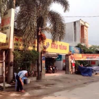 Tổng hợp- Quán Nhậu Quán Heo Vàng - Đặc Sản Heo Tộc