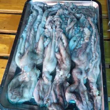 Tổng hợp- Quán Nhậu Mộc Sinh - Lẩu Ếch & Lẩu Vịt