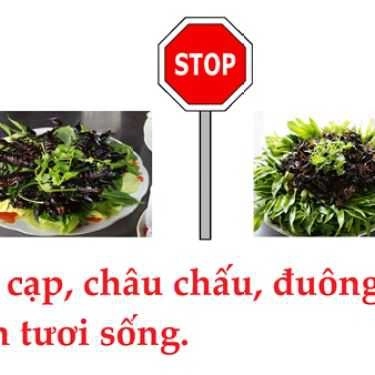 Tổng hợp- Stop Quán  - Quán Nhậu Côn Trùng