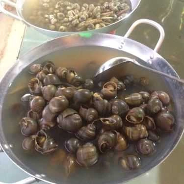 Món ăn- Quán Nhậu Anh Em - Ốc & Hải Sản