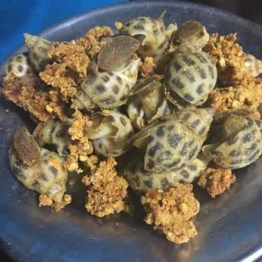 Món ăn- Ăn vặt Quán Ốc Hoàng