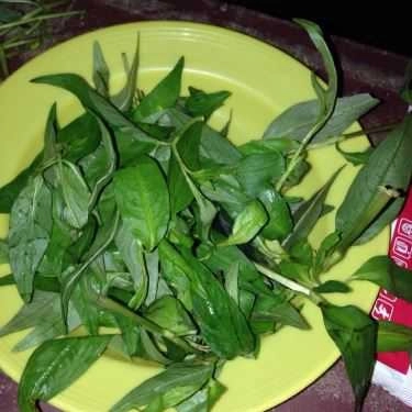 Món ăn- Ăn vặt Quán Ốc - Ngô Bệ