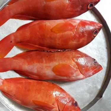 Tổng hợp- Quán Nhậu Quán Ốc Phan Thiết