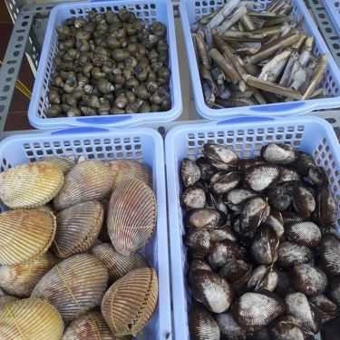 Tổng hợp- Ăn vặt Quán Ốc Sơn