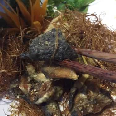 Món ăn- Quán Nhậu Quán Tới Bến - Nhậu Bình Dân - Bến Vân Đồn