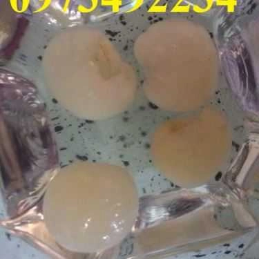 Tổng hợp- Quang Vinh - Đặc Sản Hưng Yên - Shop Online