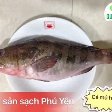 Tổng hợp- Shop online Quê Mình's Food - Hải Sản & Rau Củ Quả Online