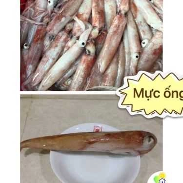 Tổng hợp- Shop online Quê Mình's Food - Hải Sản & Rau Củ Quả Online