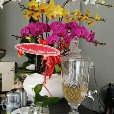 Tổng hợp- Quốc Huy Cafe - Bùi Thanh Khiết