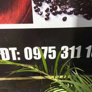 Tổng hợp- Quỳnh Anh Coffee