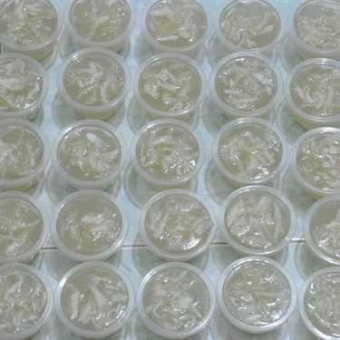 Món ăn- Ăn vặt Rau Câu Chân Vịt Đường Phèn