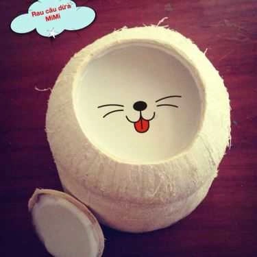 Tổng hợp- Ăn vặt Rau Câu Dừa Mimi - Cách Mạng Tháng 8