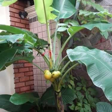 Tổng hợp- Red Bean - Coffee & Tea
