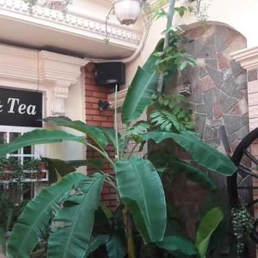 Tổng hợp- Red Bean - Coffee & Tea