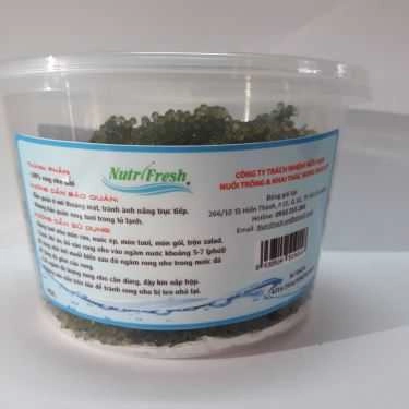 Tổng hợp- Rong Nho Nutrifresh - Shop Online