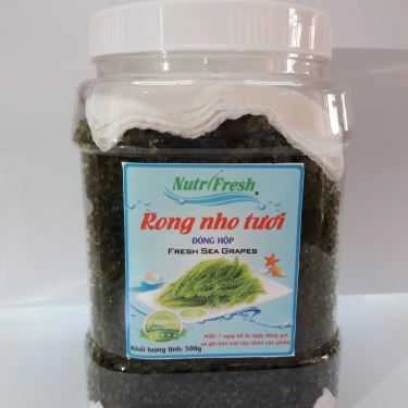Tổng hợp- Rong Nho Nutrifresh - Shop Online
