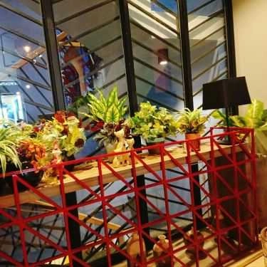 Tổng hợp- Rosetta - Bistro & Cafe