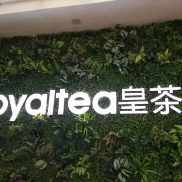 Tổng hợp- Cafe Royaltea Vietnam - Cách Mạng Tháng 8