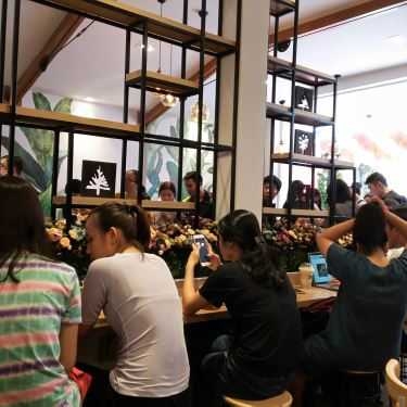 Tổng hợp- Cafe Royaltea Vietnam By Hongkong - Nguyễn Trãi