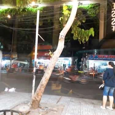 Tổng hợp- Cafe Royal Tea Viet Nam By HongKong - 5 Quang Trung
