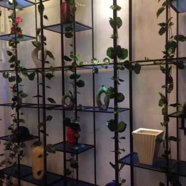 Tổng hợp- Cafe Royaltea Vietnam By Hongkong - Cộng Hòa