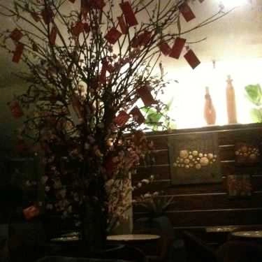 Tổng hợp- Cỏ May SaiGon - Café