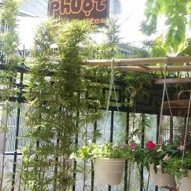 Tổng hợp- S Phượt Coffee