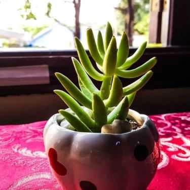 Tổng hợp- Sài Gòn Xưa Cafe - Độc Lập