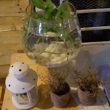 Tổng hợp- Cafe Saigon Kem - Lê Thúc Hoạch