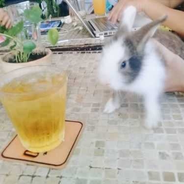 Món ăn- Saigon Poto Cafe & Restaurant