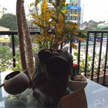 Tổng hợp- Saigon - Vieux Coffee