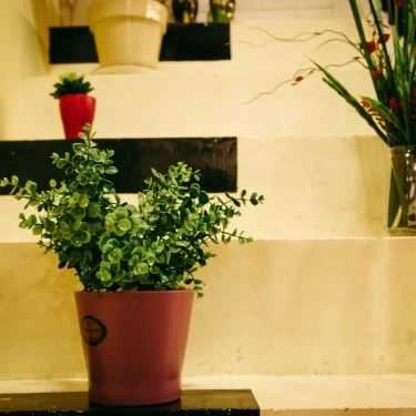 Tổng hợp- Saigon's Best Coffee