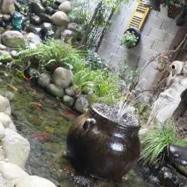 Tổng hợp- Salado Cafe - Sân Vườn & Máy Lạnh