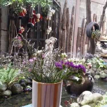 Tổng hợp- Salado Cafe - Sân Vườn & Máy Lạnh