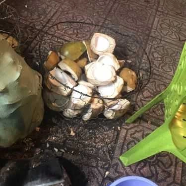 Tổng hợp- Ăn vặt Sâm Dừa Bà Năm - Hoàng Sa