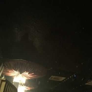 Tổng hợp- Samaa Coffee Shisha - Cao Bá Nhạ