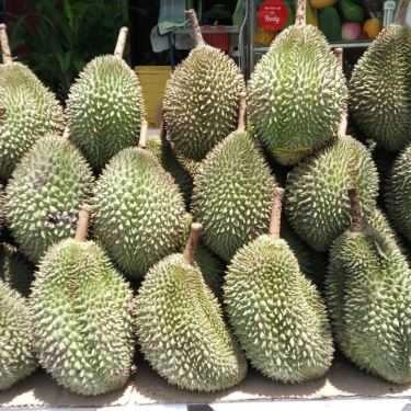 Tổng hợp- Sầu Riêng - Shop Online