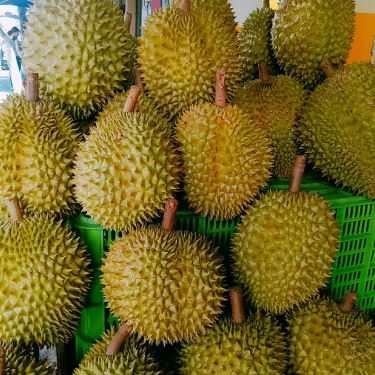 Tổng hợp- Ăn vặt Sầu Riêng Nguyễn Sơn