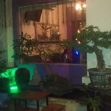Tổng hợp- SCD Cafe