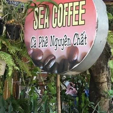 Tổng hợp- Sea Coffee