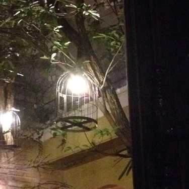Tổng hợp- Serenata Piano - Khúc Ban Chiều Cafe