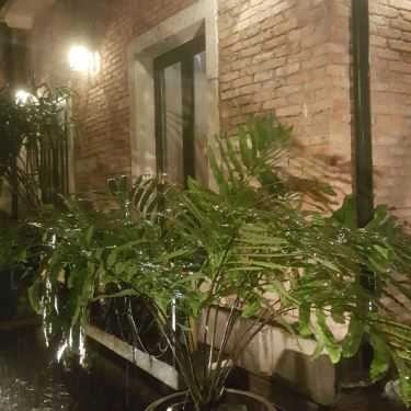 Tổng hợp- Serenata Piano - Khúc Ban Chiều Cafe