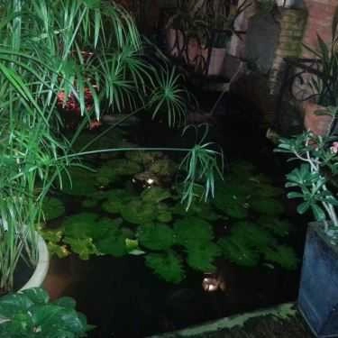 Tổng hợp- Serenata Piano - Khúc Ban Chiều Cafe