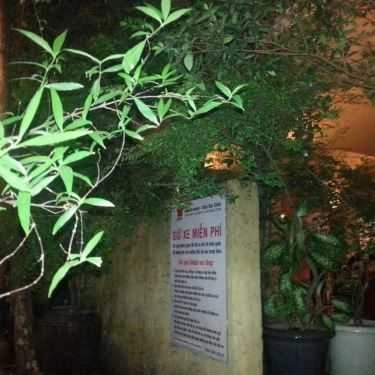 Tổng hợp- Serenata Piano - Khúc Ban Chiều Cafe