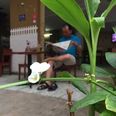 Tổng hợp- Shala Coffee