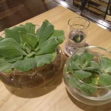 Tổng hợp- Shangri La Coffee - Tân Chánh Hiệp 18