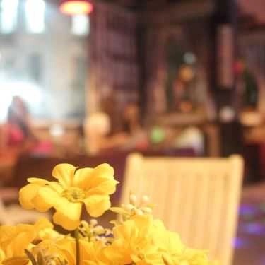 Tổng hợp- Shine Coffee - Platinum