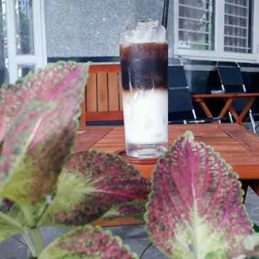 Tổng hợp- Shino - Cafe, Trà Sữa & Nước Ép