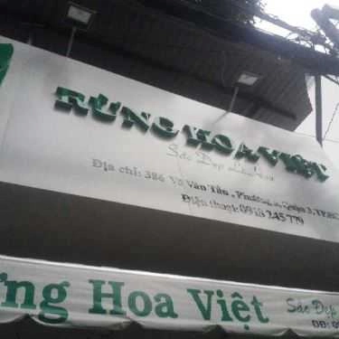 Tổng hợp- Hoa cưới, shop hoa Shop Hoa Rừng Hoa Việt